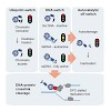 groll_145_stingele_molcell_2016_500.100x0.jpeg